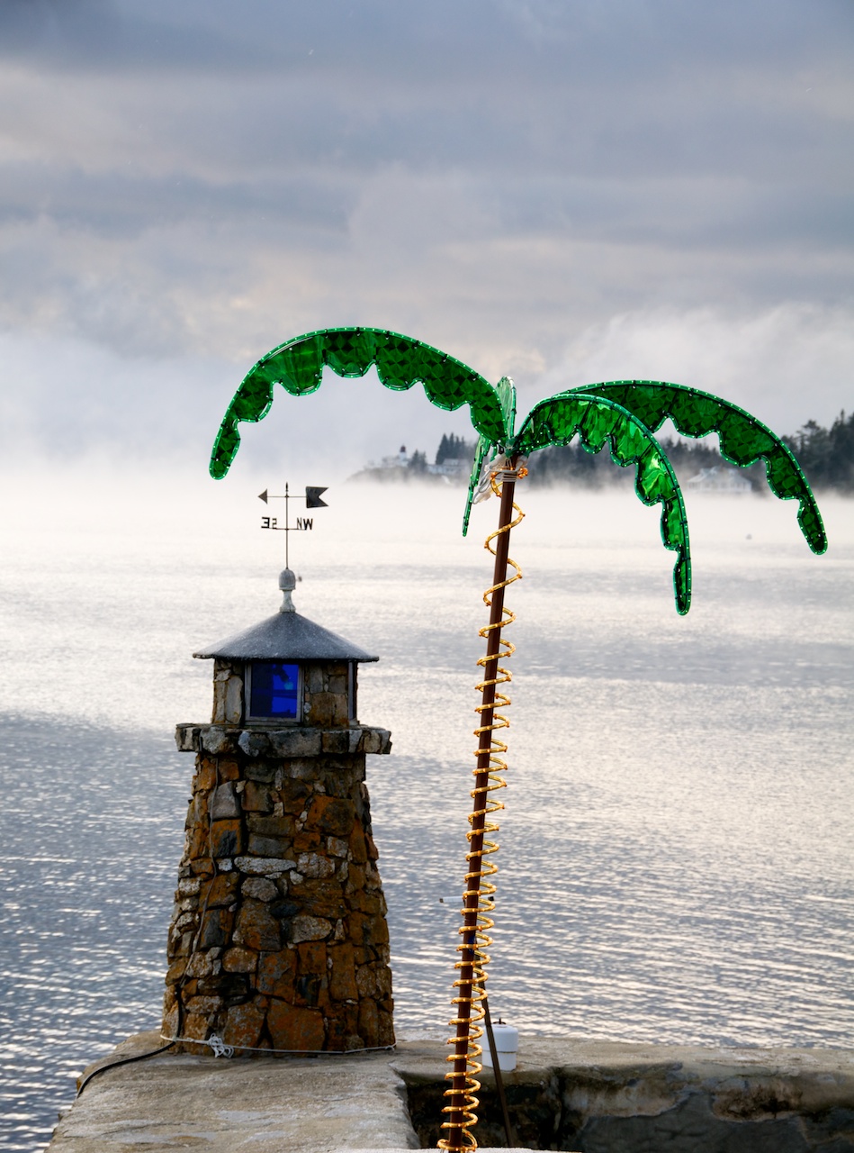 Palm Christmas Tree and Two Lighthouses