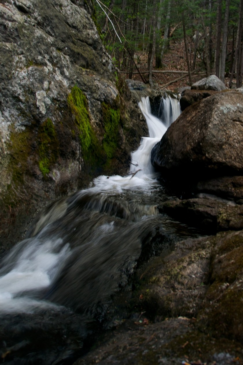 20120421_DSC0013